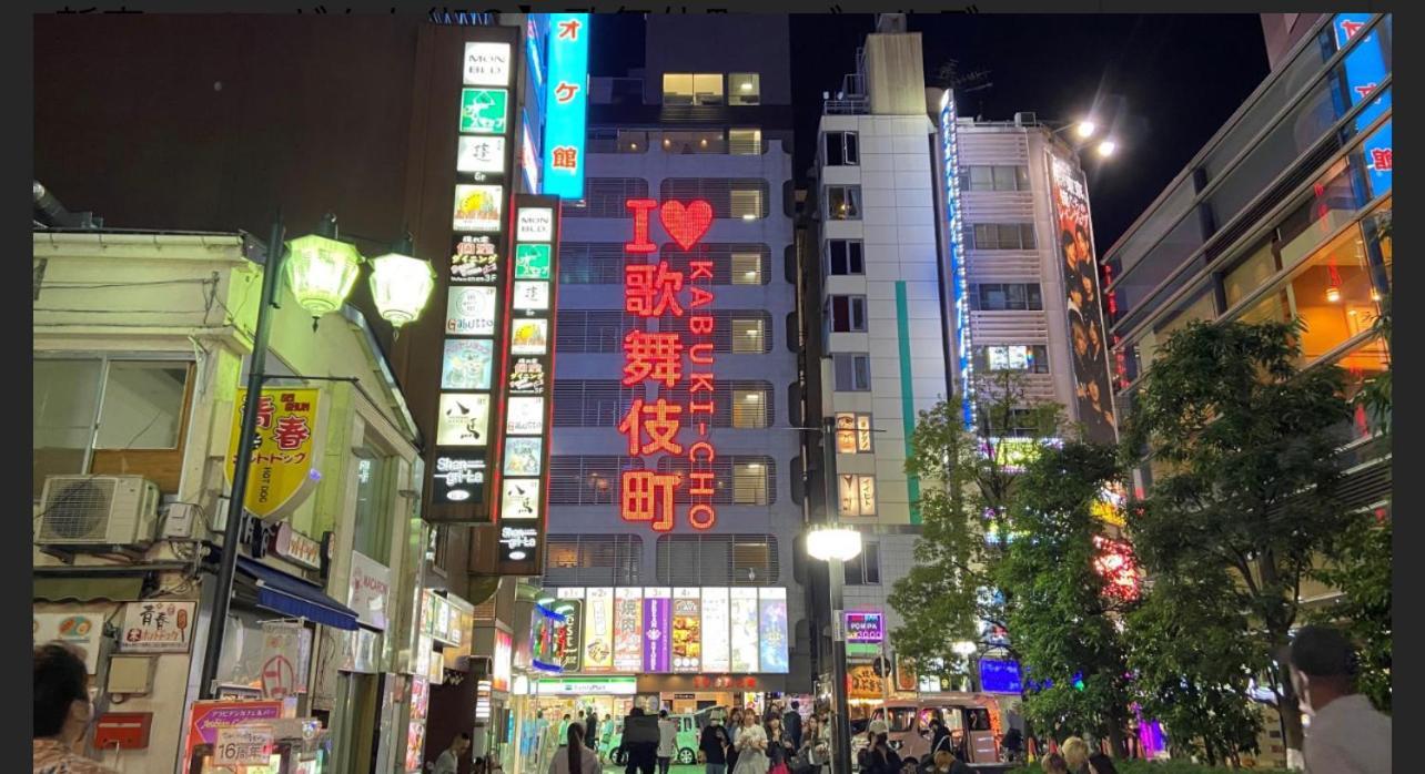 新宿歌舞伎町東新宿站3分钟，徒步伊势丹4分钟免费wi-fi！ Appartement Tokio